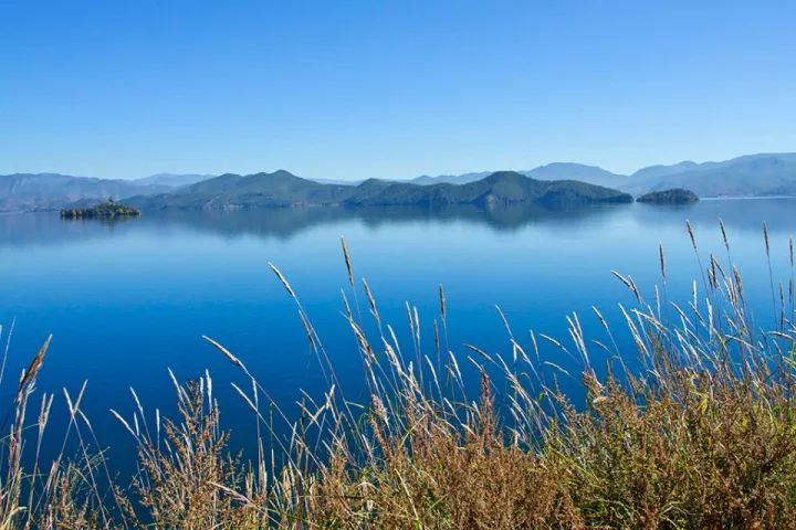 柠檬记 | 良辰美景,赏心悦目,我在云南等你!