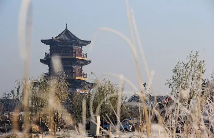 聊城最美雪景居然是这…!一大波高清雪景图袭来!