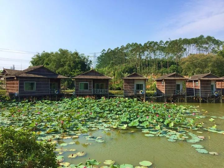 原生态农家乐:山水间享宁静,归园田居不是梦