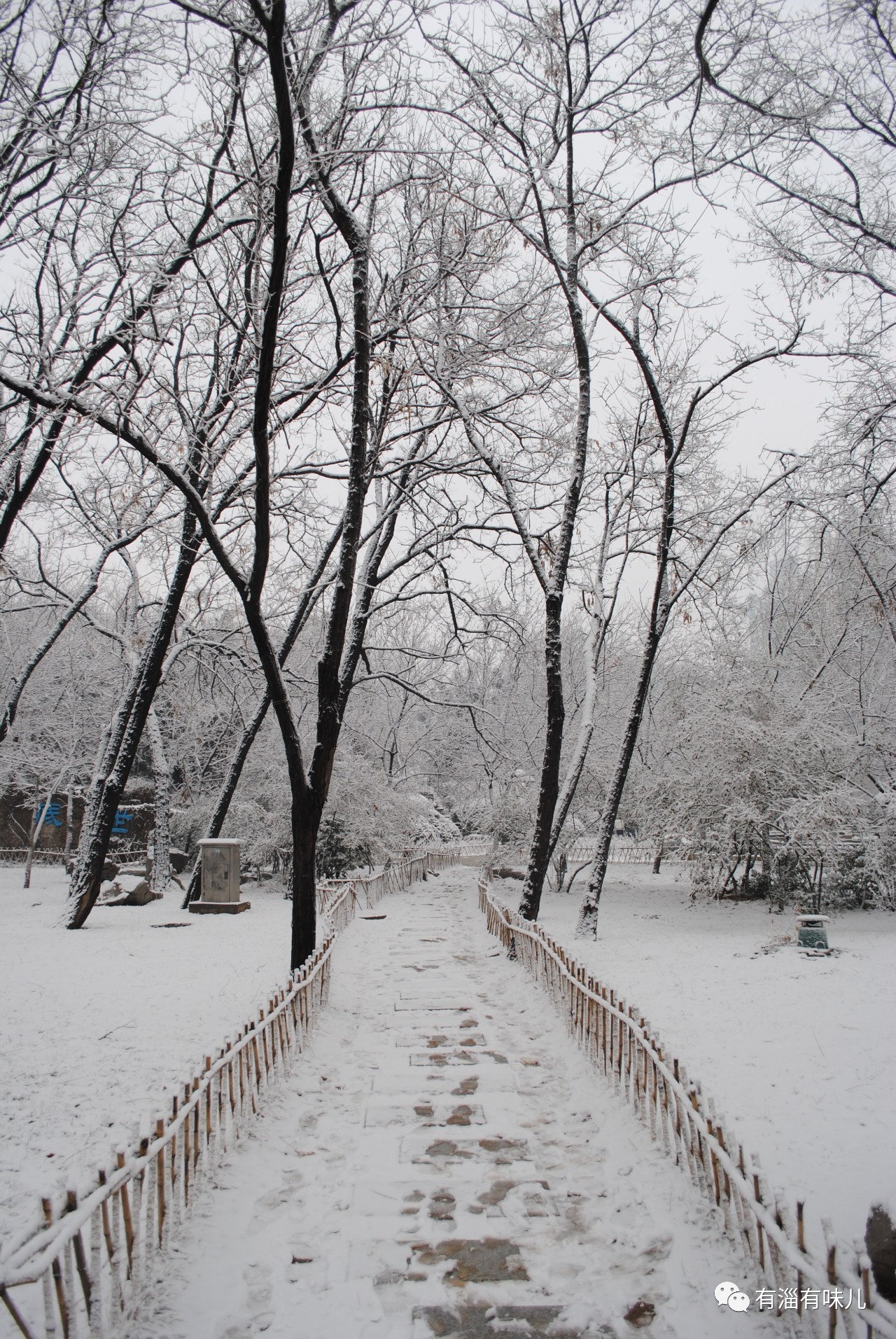 他们那里已经开始下雪,并发来雪景的照片和视频