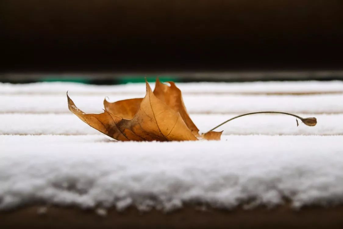 初雪,聊聊财大暖心的小美好!