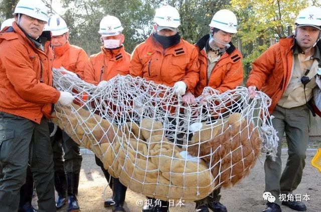 人口失生_中国失联人口身份证