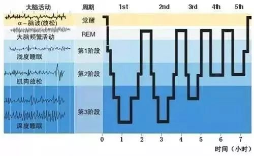 通常把 人的睡眠阶段分为两个模式:快速动眼期(浅层睡眠)和非快速动眼