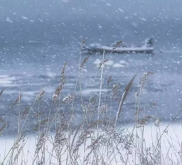 下雪岂能无诗?十首诗词十种绝美