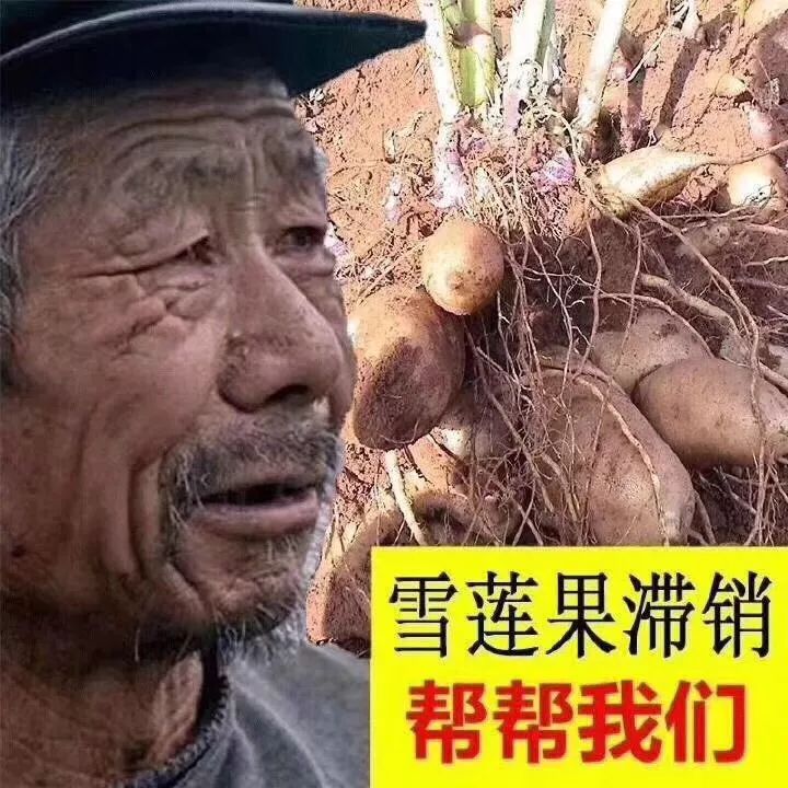 爱心助农,杜蕾斯滞销,帮帮我们!