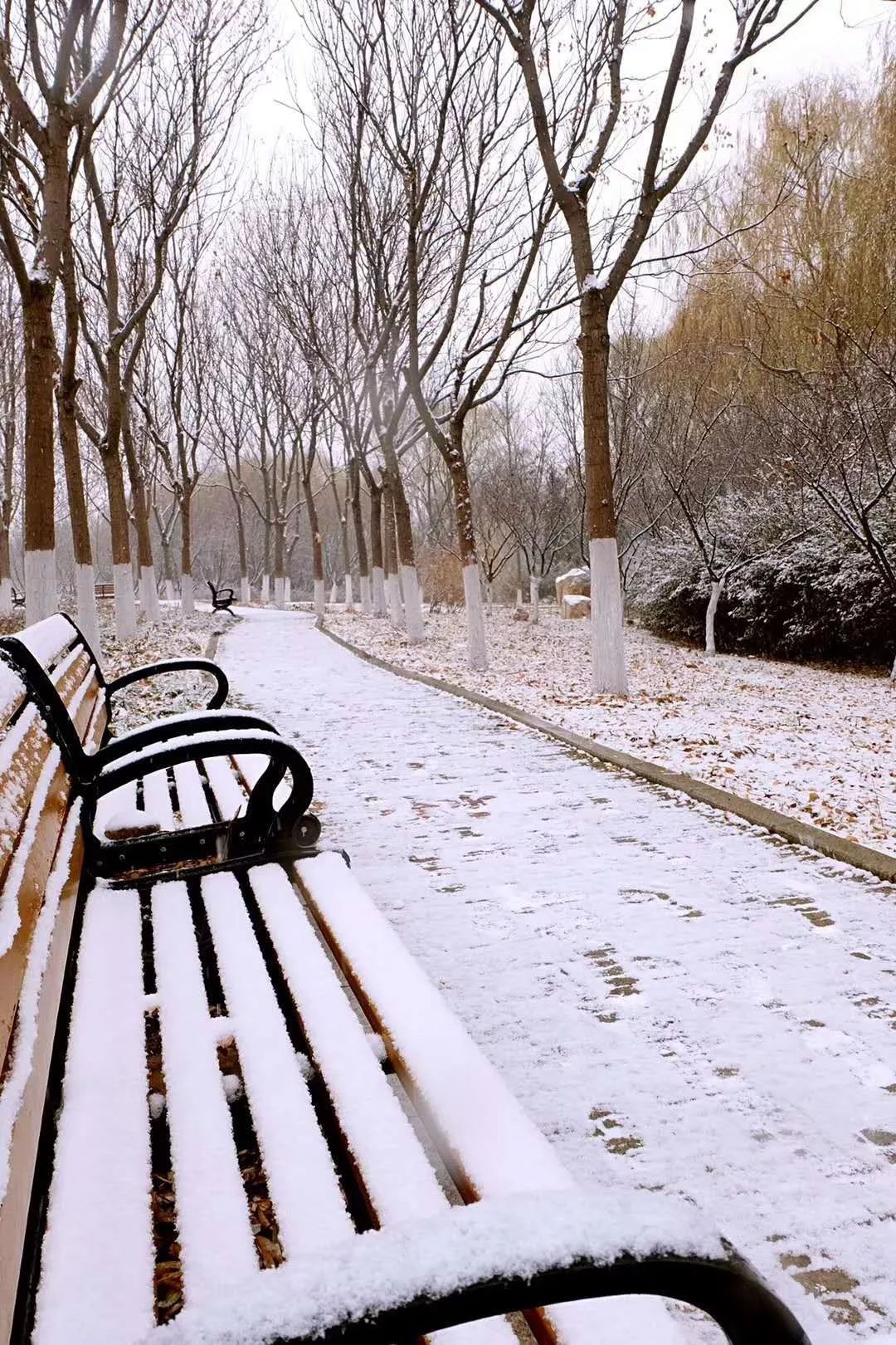 初雪山艺背景图强势来袭