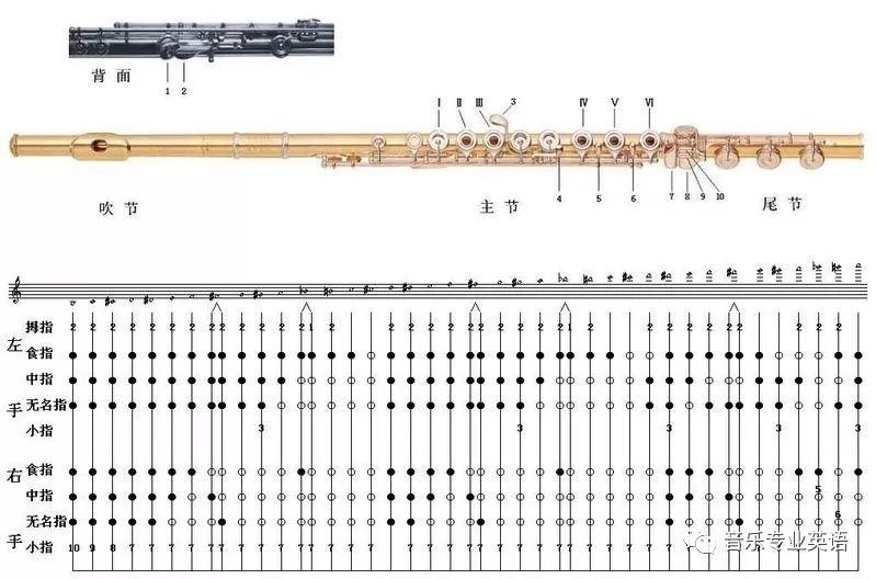 长笛指法表简谱_长笛指法表