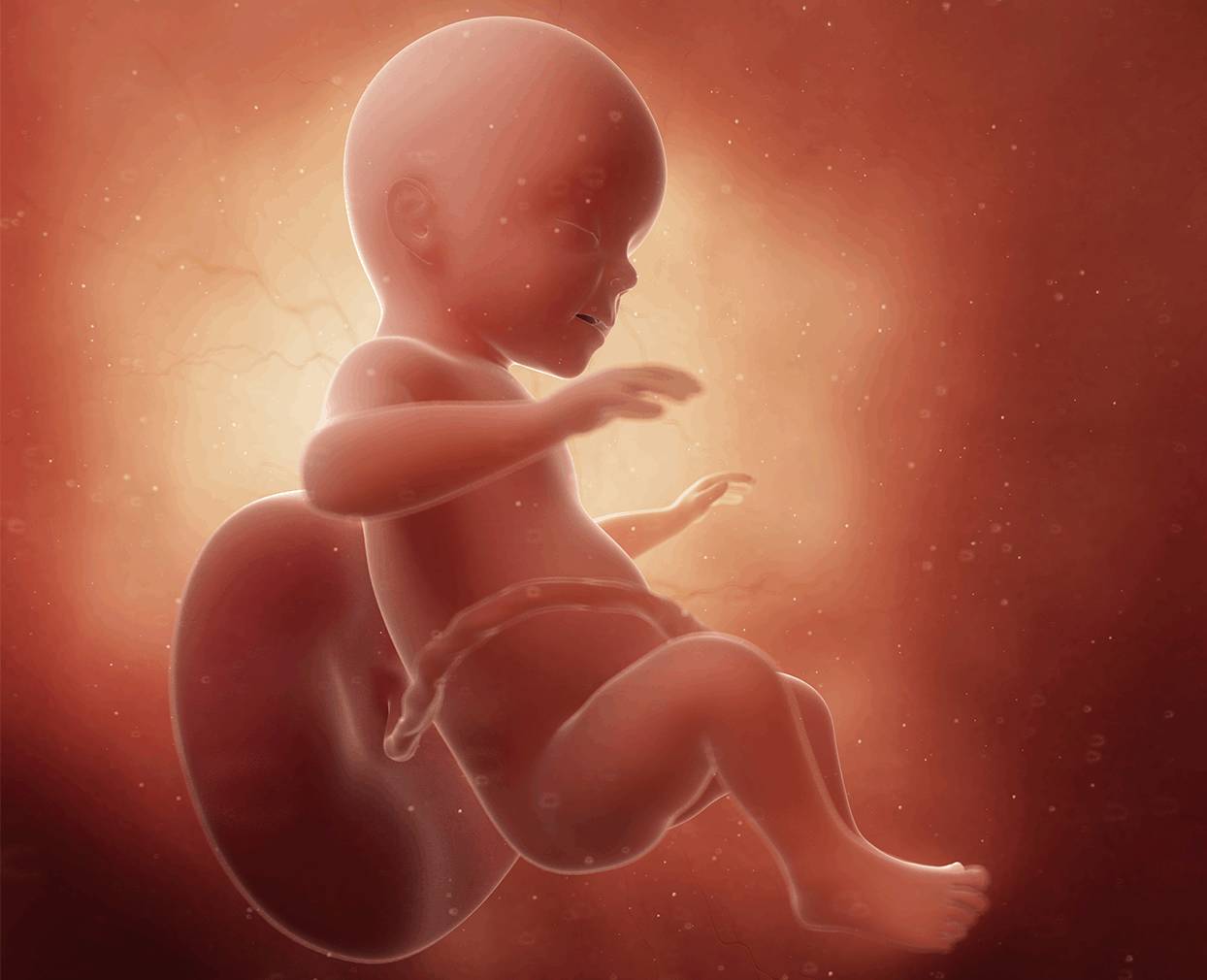 求热心人帮我看一下我家宝宝的胎心监测图，看看是否正常 - 百度宝宝知道