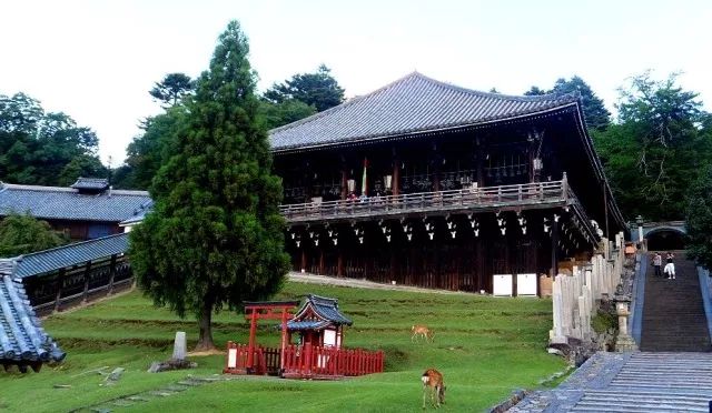 平城京的人口_平城京法隆寺平面图