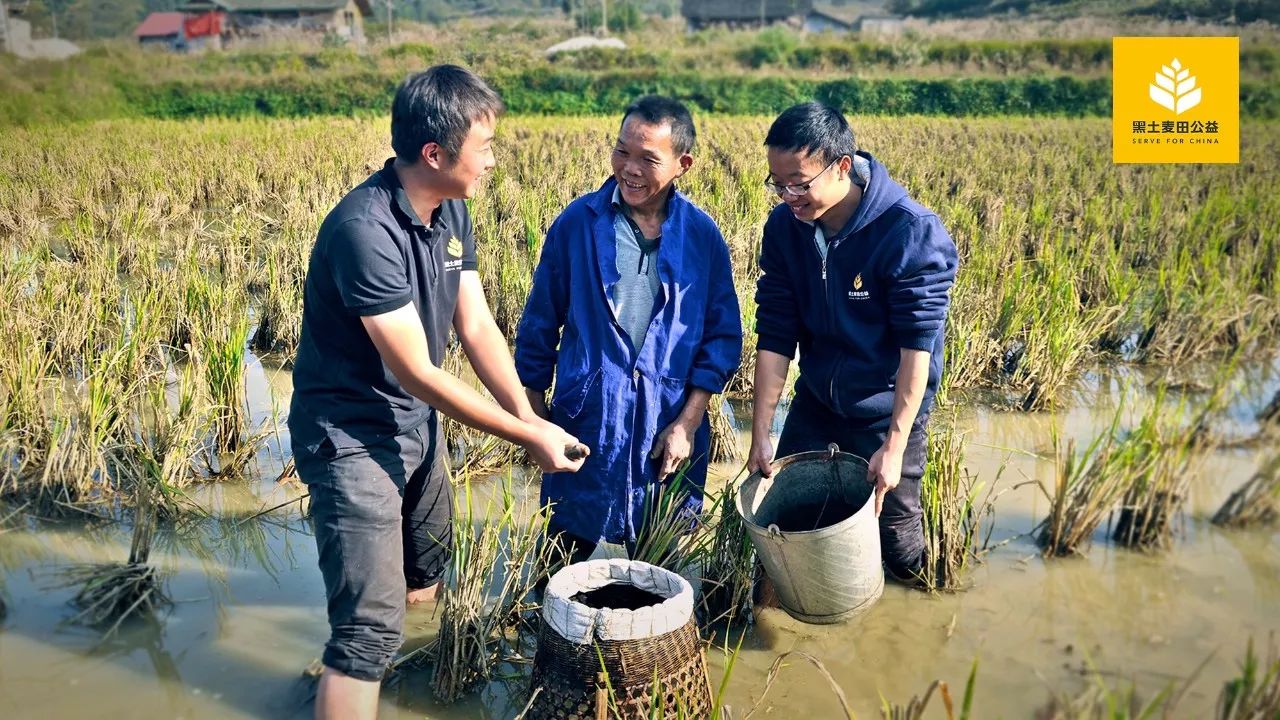 黑土麦田 2018-2020届扶贫创客招募