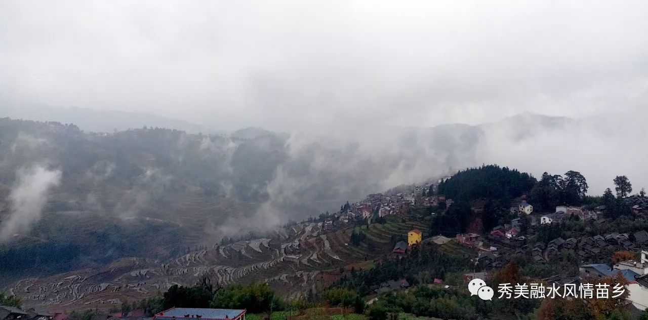 讲座助力苗山医疗卫生水平提高让苗山百姓享受更好的医疗服务感谢他们