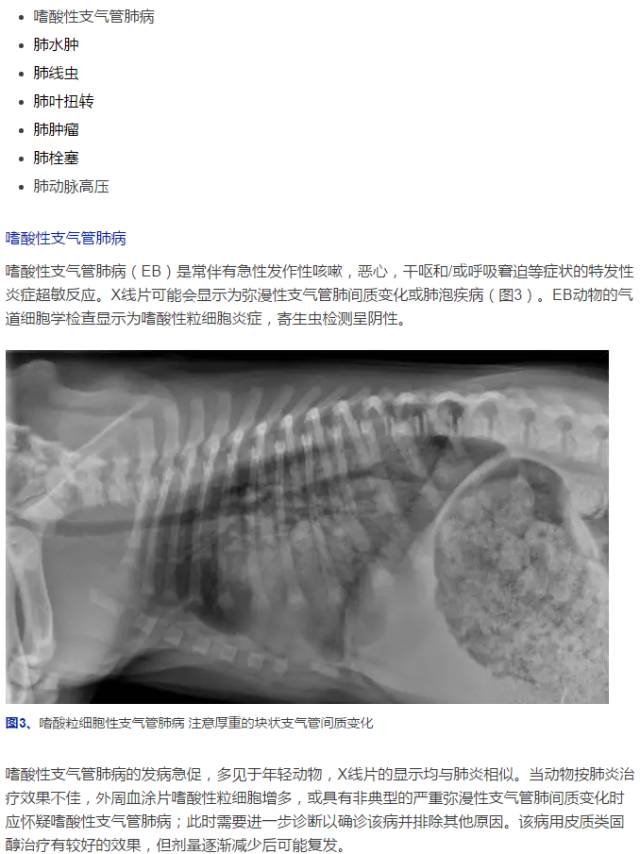 学海无涯犬常见肺部疾病影像鉴别一文通