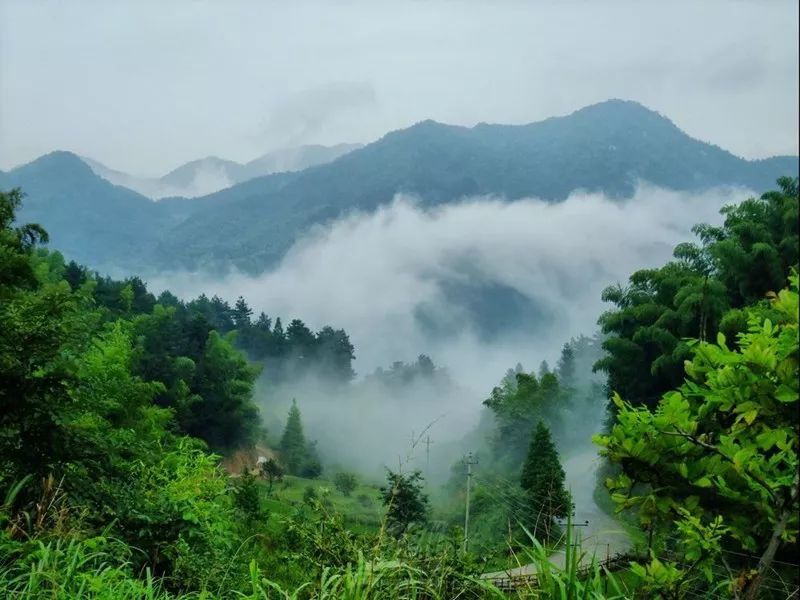 黄冈市人口有多少_大美黄冈,令人向往