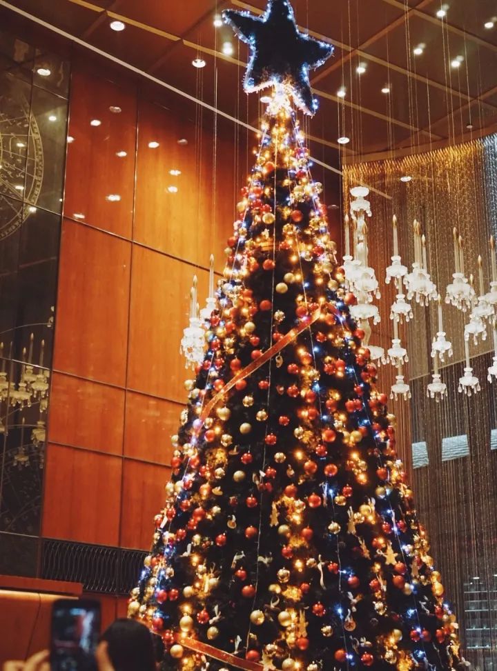 Christmas Tree Lighting Ceremony The St. Regis Tianjin