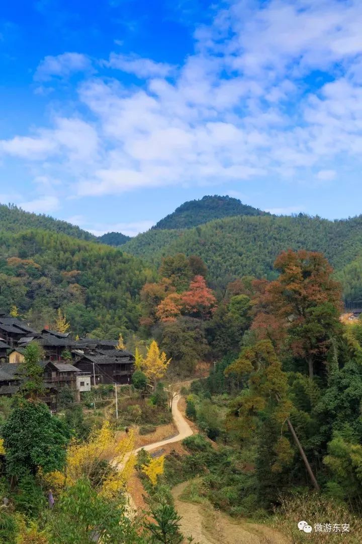 湖南省东安县川岩乡上界头村乐子冲高大绯红的枫叶,与古朴的吊脚木楼