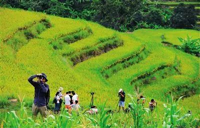 乡村振兴战略下的休闲农业和乡村旅游