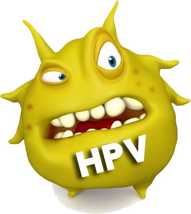 什么是hpv