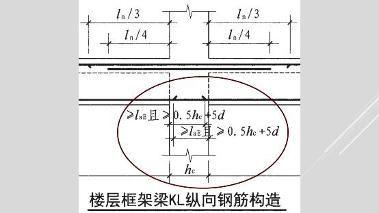 什么柱什么梁成语_瑶柱是什么贝壳图片(3)