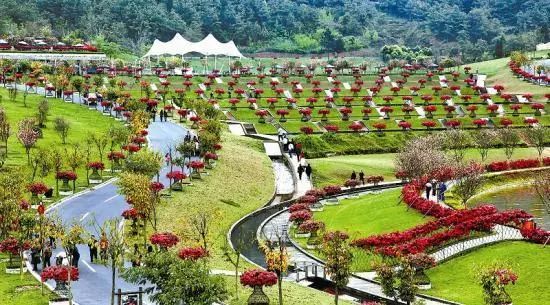 乡村振兴战略下的休闲农业和乡村旅游