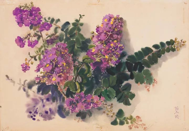 王碧梧《紫薇花 水彩 纸本 1982年 45×64.