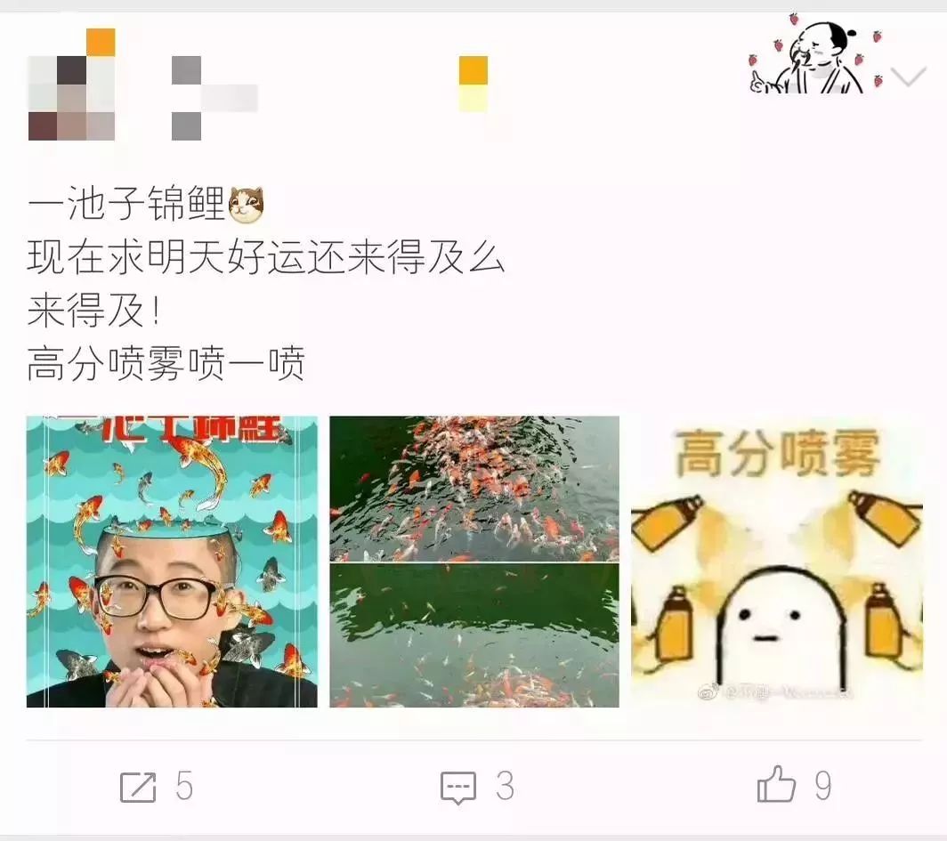 转发这条锦鲤考试必过