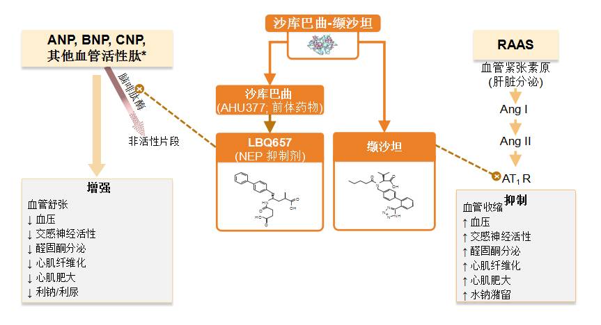 这种情况下,首个血管紧张素受体-脑啡肽酶抑制剂(arni)诺欣妥03