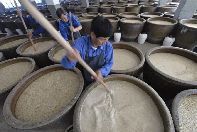 「酿酒技术」冬日饮酒怎么少得了黄酒,黄酒酿造工艺流程