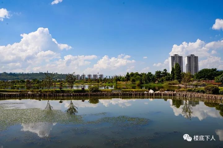 异龙湖湿地公园游