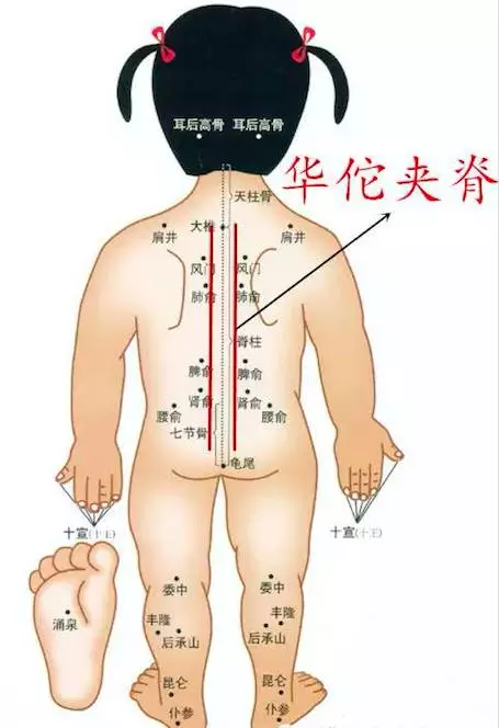 推华佗夹脊5分钟(从上往下推)