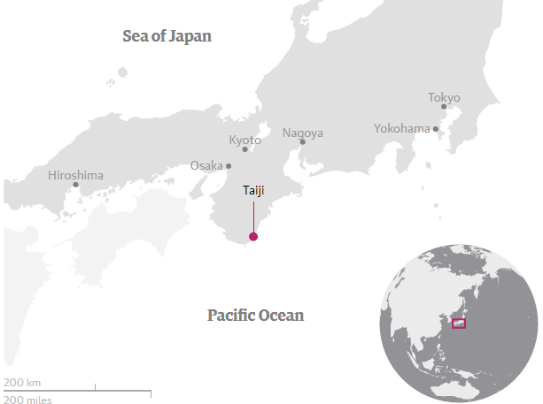 还记得获奥斯卡的《海豚湾》吗?