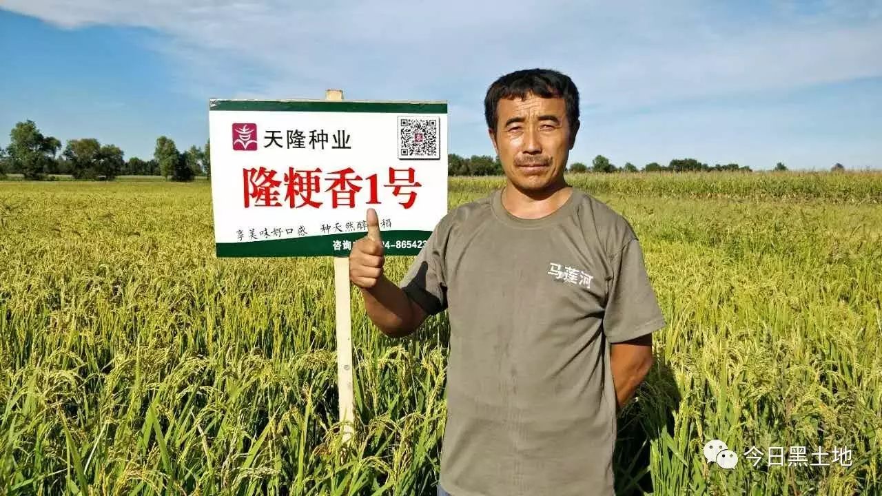 天隆小课堂:好消息,补贴还会有!