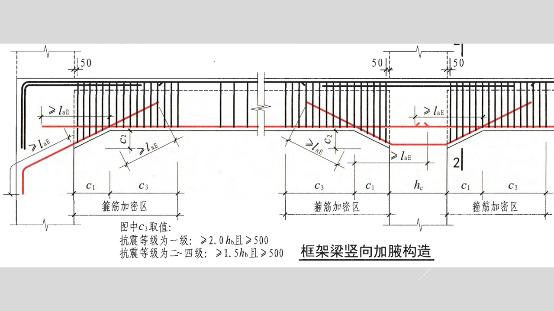 什么柱什么梁成语_瑶柱是什么贝壳图片(3)