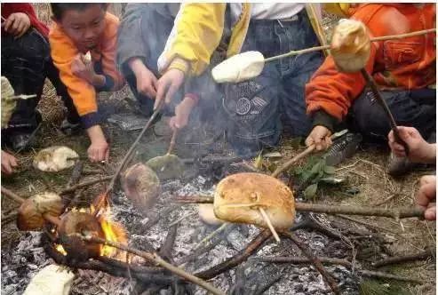 洞口人口_邵阳各地人民眼中的邵阳是怎样的 第一个就笑哭了