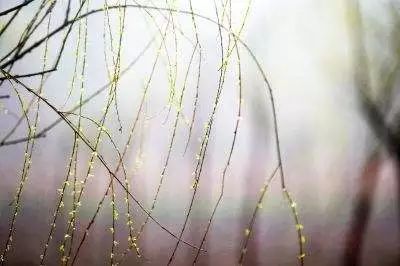 微风细雨的简谱_微风细雨简谱邓丽君(3)