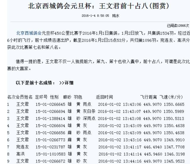 北京名家京大鸽舍王文君3羽优秀种鸽欣赏出售