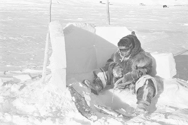 老照片记录最后的爱斯基摩人:生活在冰天雪地,靠捕猎为生