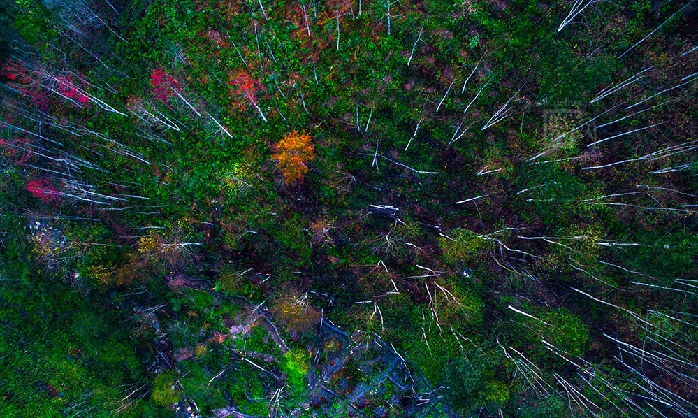 航拍德化牛母岐:漫山红遍,层林尽染!绝色美景惹人醉