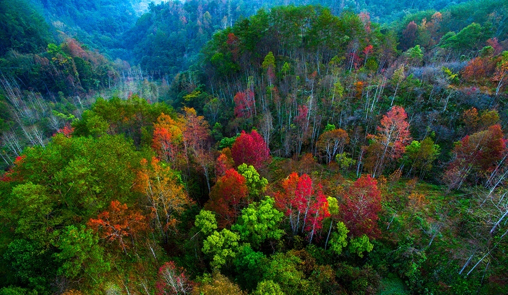 航拍德化牛母岐:漫山红遍,层林尽染!绝色美景惹人醉