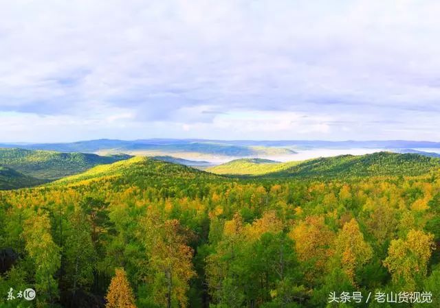 大兴安岭林海,森林悟语