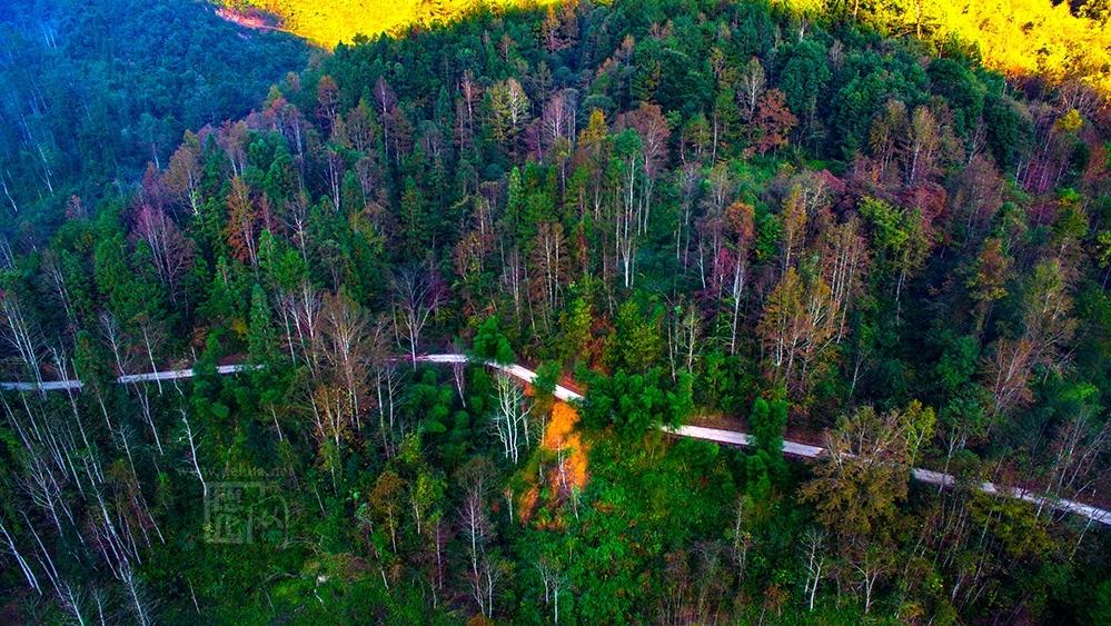 航拍德化牛母岐:漫山红遍,层林尽染!绝色美景惹人醉