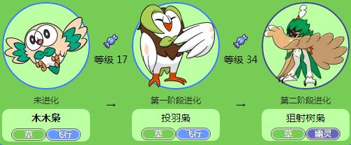 木木枭,形态如同一只小猫头鹰,是拥有的草系和飞行系属性的神奇宝贝