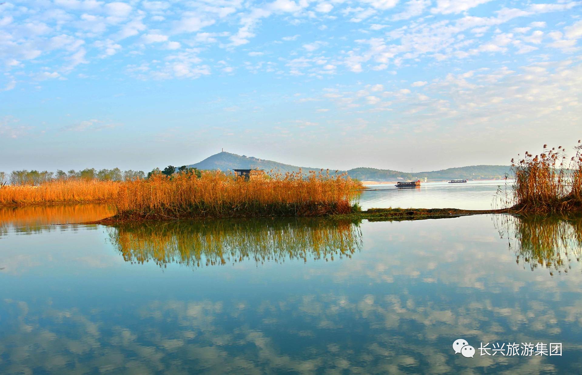 芦苇茫茫蒹葭苍苍仙山湖里的冬日风景