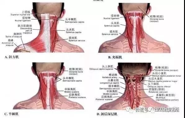 长筋包怎么办