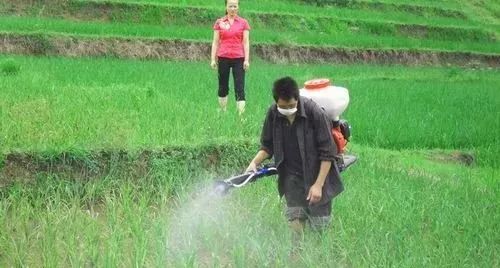 在全国范围内禁止生产,销售和使用六六六,滴滴涕,毒杀芬,二溴氯丙烷