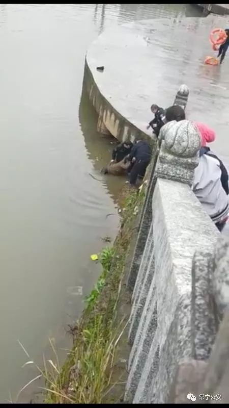 女子感情受挫跳河轻生,常宁特警舍身相救【附视频】