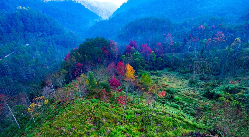 航拍德化牛母岐:漫山红遍,层林尽染!绝色美景惹人醉