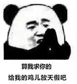 求求你给我的鸡儿放个假吧