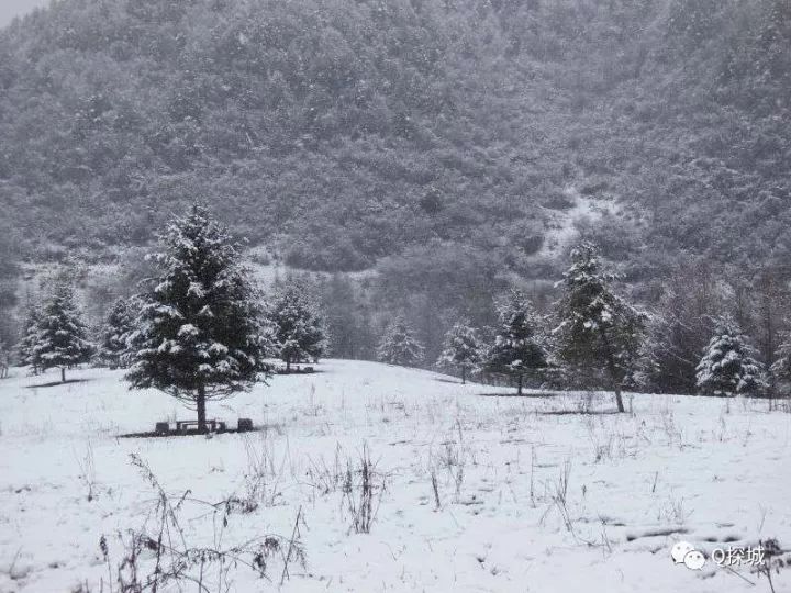 自驾线路:重庆—奉节(高速—巫溪县城(高速—文峰镇—红池坝9丰都澜