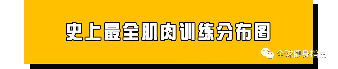 史上最全肌肉训练分布图,再也不愁不懂肌肉了!