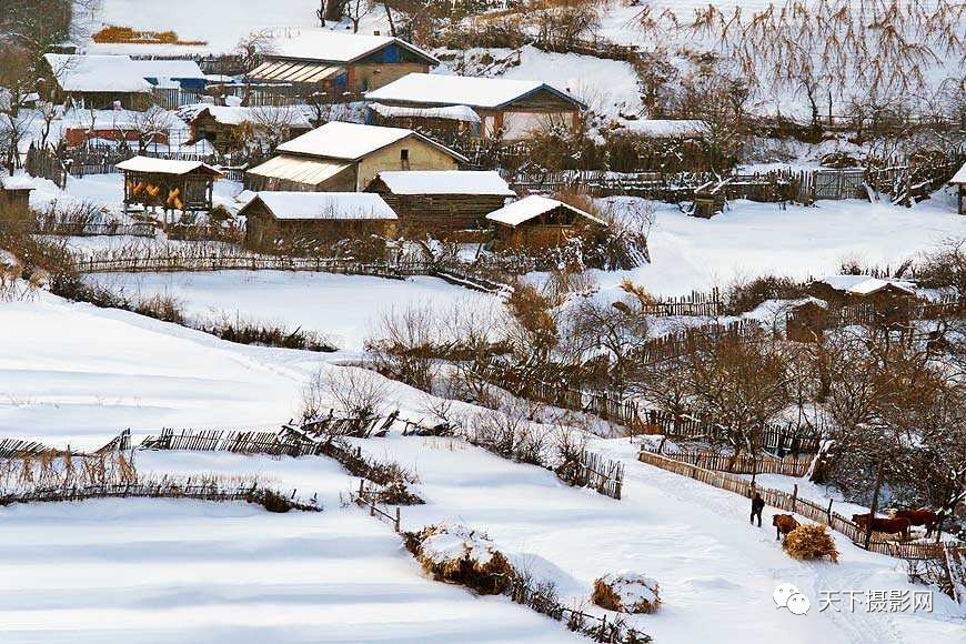 2018年1月1日元旦节哈尔滨雪乡冰雪大世界期待您的参与